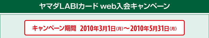 WEB�Ń|�C���g�l���̃`�����X