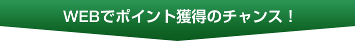 WEB�Ń|�C���g�l���̃`�����X�I