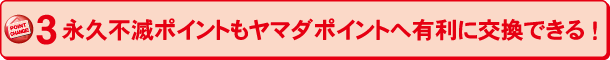 3 ���X���p�����}�_�|�C���g�֗L���Ɍ����ł���I