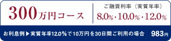 300���~�R�[�X ���Z�������i�����N���j 8.0���E10.0���E12.0�� ��������@�����N��12.0����10���~��30���Ԃ����p�̏ꍇ 983�~